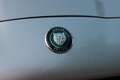 Jaguar XK8 Cabriolet - thumbnail 10