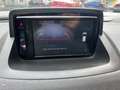 Renault Megane BOSE Edition*Panorama*Kamera*LineAss Wit - thumbnail 9