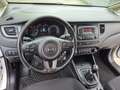 Kia Carens Carens IV 2013 1.7 crdi Cool 115cv 7posti Bianco - thumbnail 7