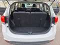 Kia Carens Carens IV 2013 1.7 crdi Cool 115cv 7posti Bianco - thumbnail 14