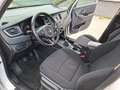 Kia Carens Carens IV 2013 1.7 crdi Cool 115cv 7posti Bianco - thumbnail 6