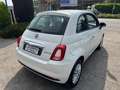 Fiat 500 1.0 hybrid Club 70cv Bianco - thumbnail 6