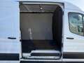 Ford Transit Kasten 2,0 EcoBlue ALLRAD L3H2 350 Trend Weiß - thumbnail 12