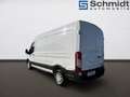 Ford Transit Kasten 2,0 EcoBlue ALLRAD L3H2 350 Trend Weiß - thumbnail 3