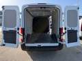 Ford Transit Kasten 2,0 EcoBlue ALLRAD L3H2 350 Trend Weiß - thumbnail 13