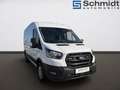 Ford Transit Kasten 2,0 EcoBlue ALLRAD L3H2 350 Trend Weiß - thumbnail 6