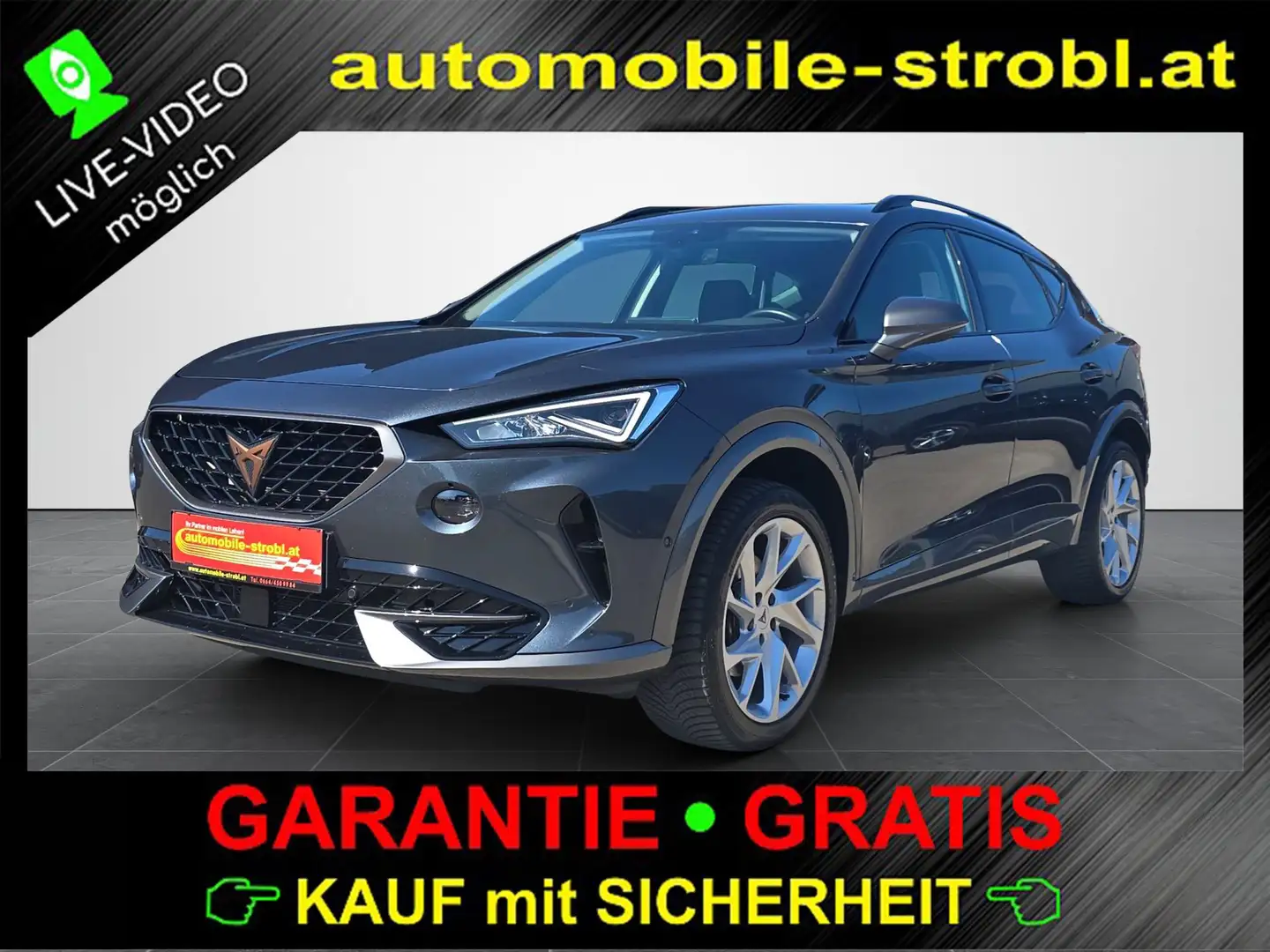 CUPRA Formentor TDI 4Drive ACC Virt.C Sitzhzg GARANTIE Grau - 1