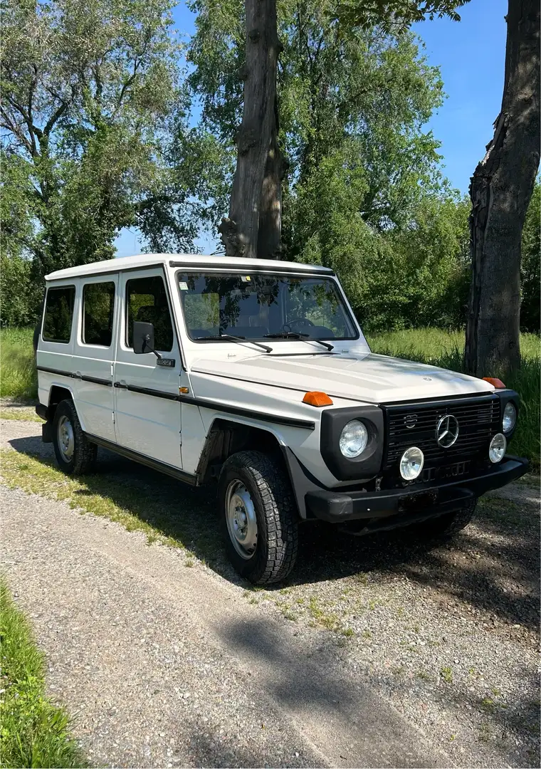 Mercedes-Benz G 280 GE SW lungo - 1
