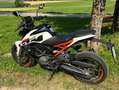 KTM 125 Duke neuwertig - thumbnail 1