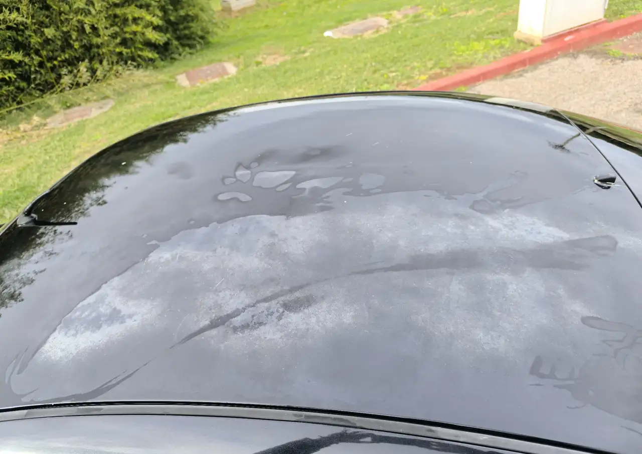 Ford Puma, foto 9
