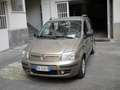 Fiat Panda Panda 1.2 Dynamic Gpl Bronzo - thumbnail 1