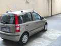 Fiat Panda Panda 1.2 Dynamic Gpl Bronzo - thumbnail 5