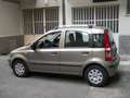 Fiat Panda Panda 1.2 Dynamic Gpl Bronzo - thumbnail 8
