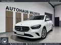Mercedes-Benz B 220 B220d Progressive Navi ACC LED MBUX AHK 360° eFH. Blanc - thumbnail 1