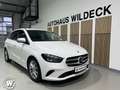 Mercedes-Benz B 220 B220d Progressive Navi ACC LED MBUX AHK 360° eFH. Blanc - thumbnail 8