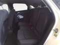 Audi Q3 35 TFSI S-tronic *LED*Navi*Sitzheiz Blanc - thumbnail 14
