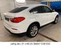 BMW X4 xDrive 20 Xen Vollleder ALUS AHK ParkAss SiHz Weiß - thumbnail 4
