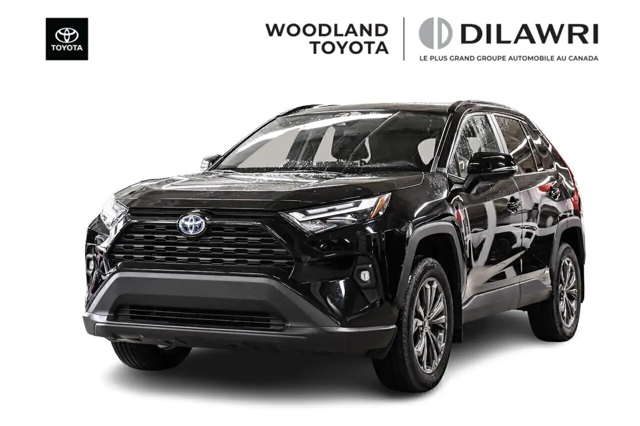 2023 Toyota RAV 4