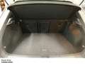 Volkswagen T-Roc Sport 1.5 TSI DSG 4Motion LED Navi Kamera Bianco - thumbnail 8