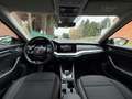 Skoda Octavia Octavia SW 2.0TDiSCRAmbitionDSG GARANTIE 1 AN/JAAR Schwarz - thumbnail 11