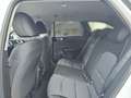 Kia Ceed SW / cee'd SW CEED SW 1.5T 48V DCT 140 ULTIMATE STY Navi Blanc - thumbnail 8