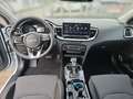 Kia Ceed SW / cee'd SW CEED SW 1.5T 48V DCT 140 ULTIMATE STY Navi Blanc - thumbnail 10