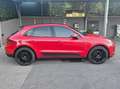 Porsche Macan Macan 2.0 245cv pdk Rosso - thumbnail 8