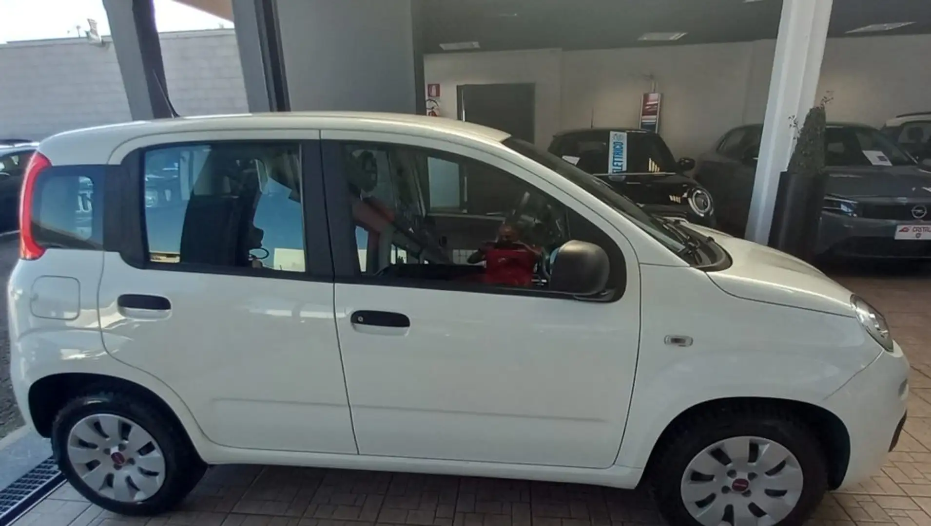 Fiat Panda 1.2 Pop Bianco - 2