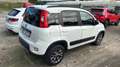 Fiat Panda 1.3 mjt 16v 4x4 Trekking - thumbnail 3