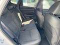 Hyundai TUCSON FL (MY26) 1.6T  (150 PS) 7-DCT N Line Weiß - thumbnail 13