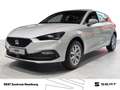SEAT Leon 1.5 eTSI Road Edition DSG Kamera Sitzhzg LE Weiß - thumbnail 1