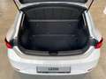 SEAT Leon 1.5 eTSI Road Edition DSG Kamera Sitzhzg LE Weiß - thumbnail 15