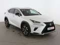 Lexus NX 300 300h Premium 2WD Blanco - thumbnail 8