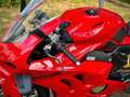 Ducati Panigale V4 Black Edition Rot - thumbnail 11