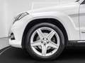Mercedes-Benz GLK 250 CDI KAT 4 MATIC|AMG|H&K|NAV|ALCANTARA| Weiß - thumbnail 22