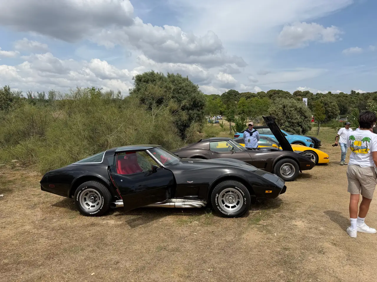 Corvette C3 L82 manual, foto 4