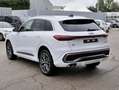 Audi Q5 NEW 2.0 Tdi Quattro 204cv S-tronic S.line edition Blanc - thumbnail 3