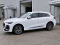 Audi Q5 NEW 2.0 Tdi Quattro 204cv S-tronic S.line edition Blanc - thumbnail 2