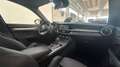 Alfa Romeo Stelvio 2.2 Turbodiesel 210 CV AT8 Q4 Veloce Grigio - thumbnail 12