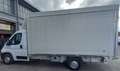 Fiat Ducato 35 2.3 MJT 160CV LH1 TELONATO Blanc - thumbnail 4