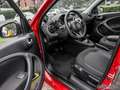 smart forFour EQ EXCLUSIVE LAST ONE Panormadach Grau - thumbnail 9