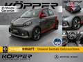 smart forFour EQ EXCLUSIVE LAST ONE Panormadach Grau - thumbnail 1