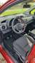 Toyota Yaris Yaris 1.0 Klima, Sitzheizung, PDC Rot - thumbnail 10