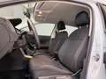 Volkswagen Polo 1.0 TSI Comfortline Airco|PDC|Stoelverwarming Grijs - thumbnail 35
