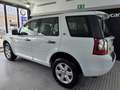 Land Rover Freelander 2.2SD4 HSE Aut. 4x4 Blanco - thumbnail 4