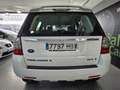 Land Rover Freelander 2.2SD4 HSE Aut. 4x4 Blanco - thumbnail 5