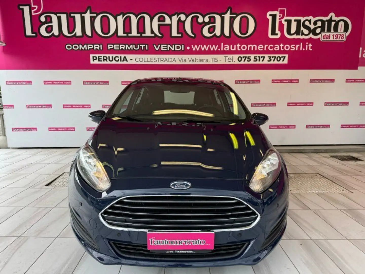 Ford Fiesta Fiesta 1.5 TDCi 75CV 5 porte Business Blu/Azzurro - 2