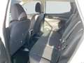 Nissan Qashqai 1,6 dCi Acenta Aut. Weiß - thumbnail 11