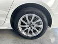 Audi A4 Avant 2.0 tdi mhev Bus. Adv quattro 204cv s-tronic Blanc - thumbnail 6