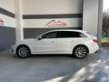 Audi A4 Avant 2.0 tdi mhev Bus. Adv quattro 204cv s-tronic Blanc - thumbnail 3